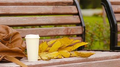 杯热<strong>咖啡</strong>黄色的秋天的般静美公园板凳上